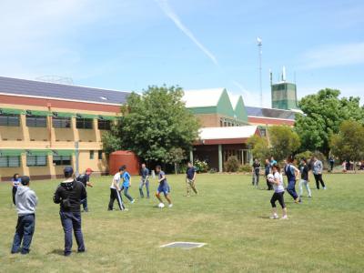 Diploma of Arboriculture